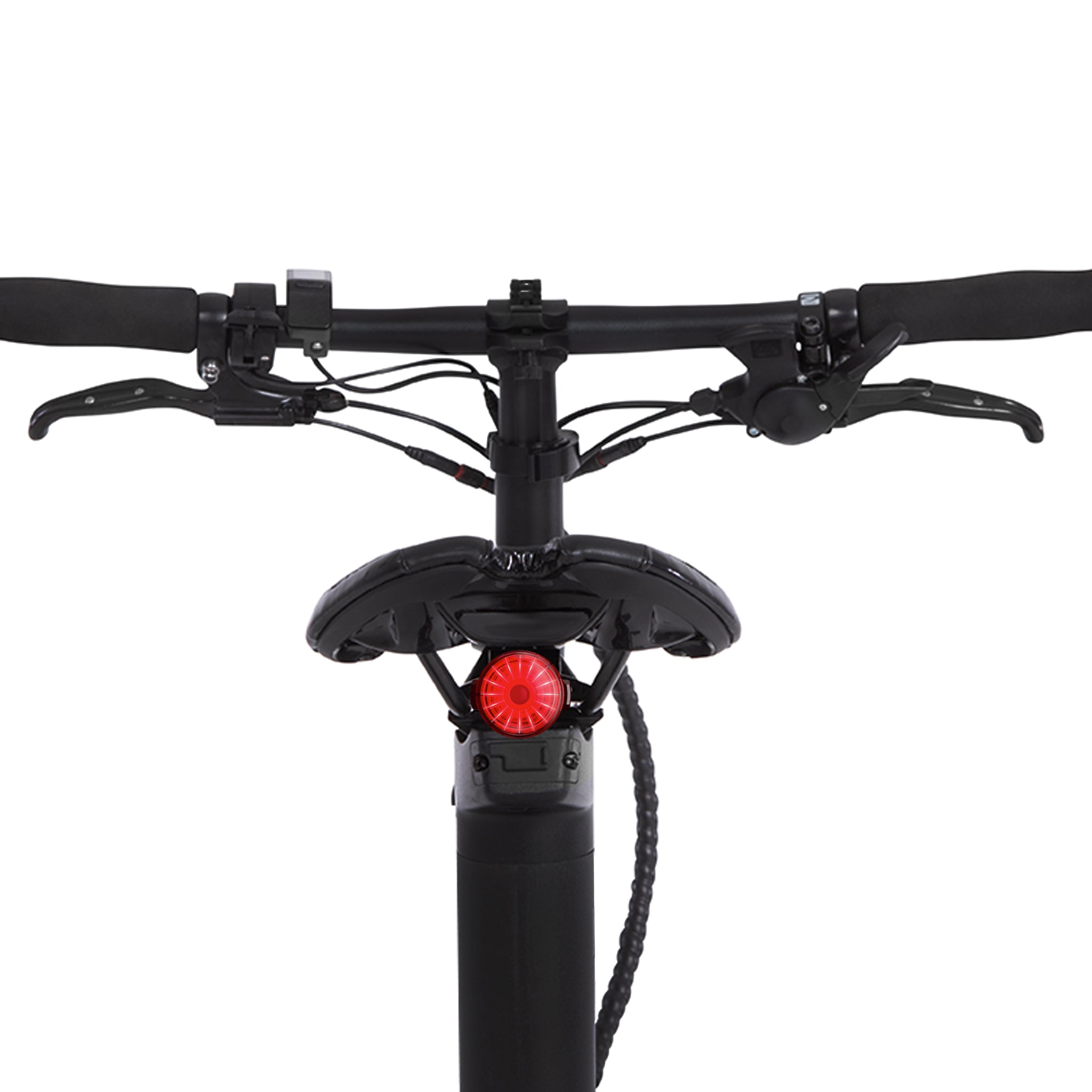 Bicicleta eléctrica CARBO con transmisión por correa