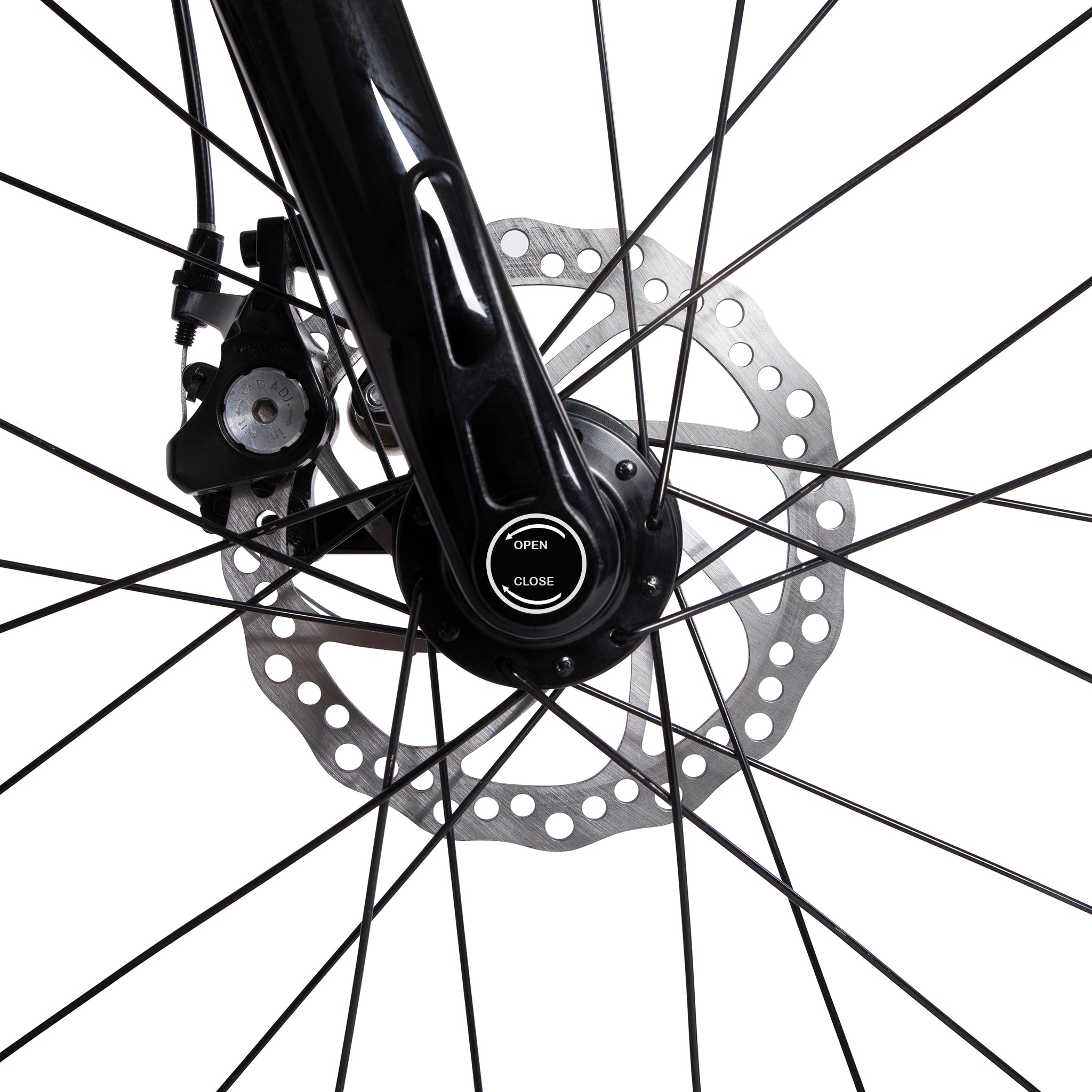 Bicicleta eléctrica CARBO con transmisión por correa