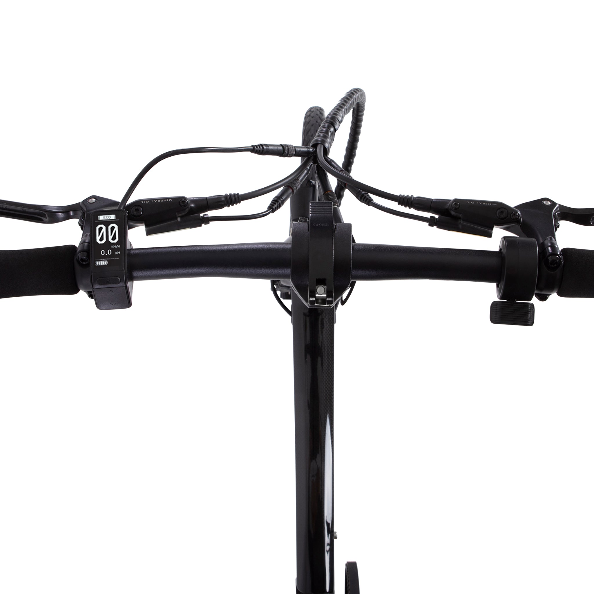 Bicicleta eléctrica CARBO con transmisión por correa